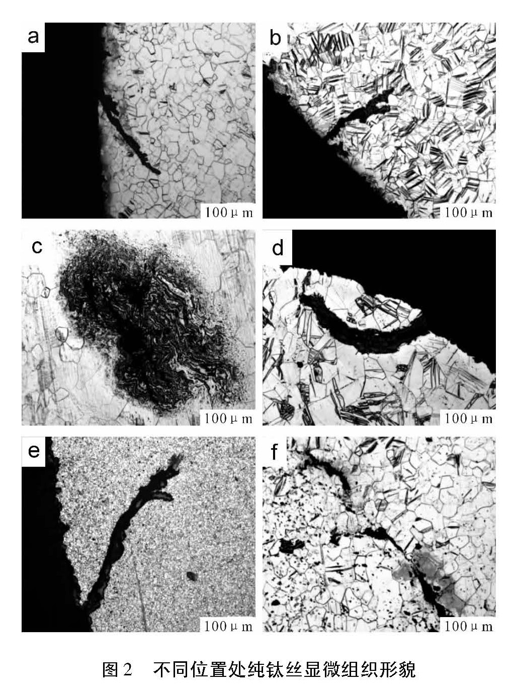 1614496289634644.jpg a4.jpg