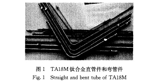 1651933314431333.jpg t1.jpg