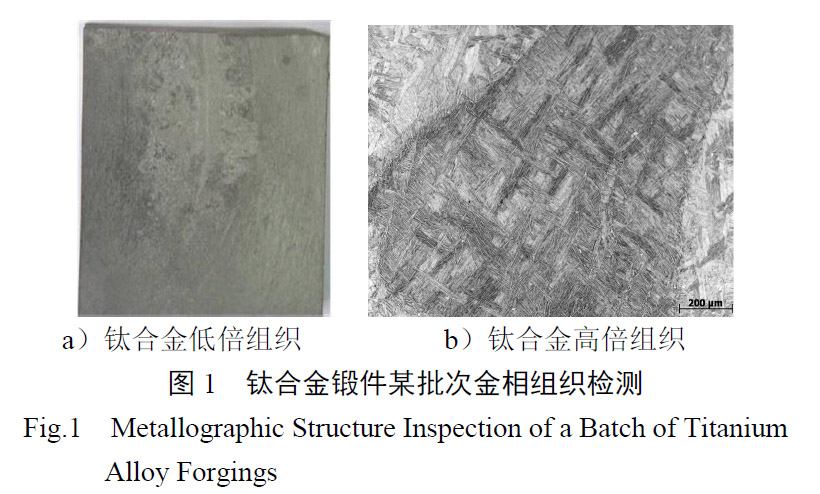 1657926297136075.jpg t1.jpg