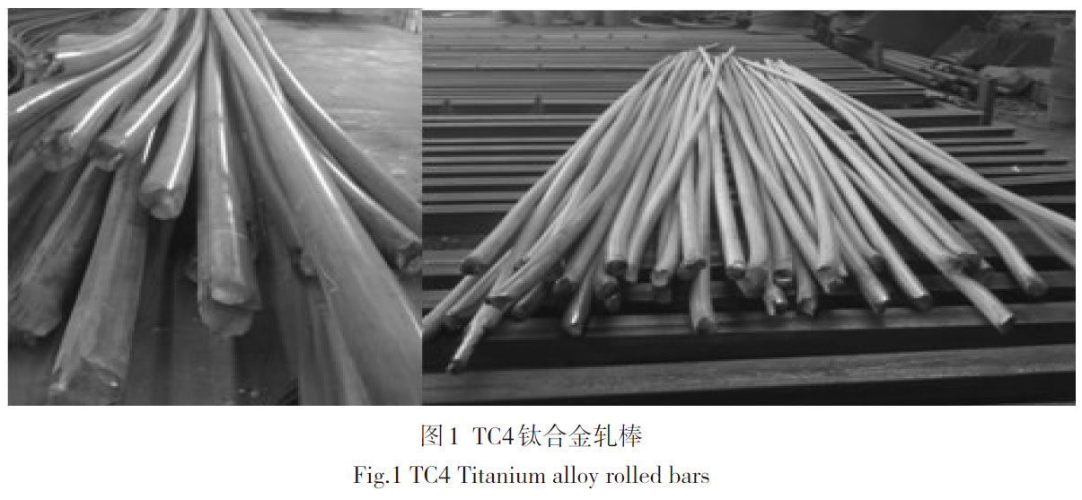 1676155545932439.jpg t1.jpg