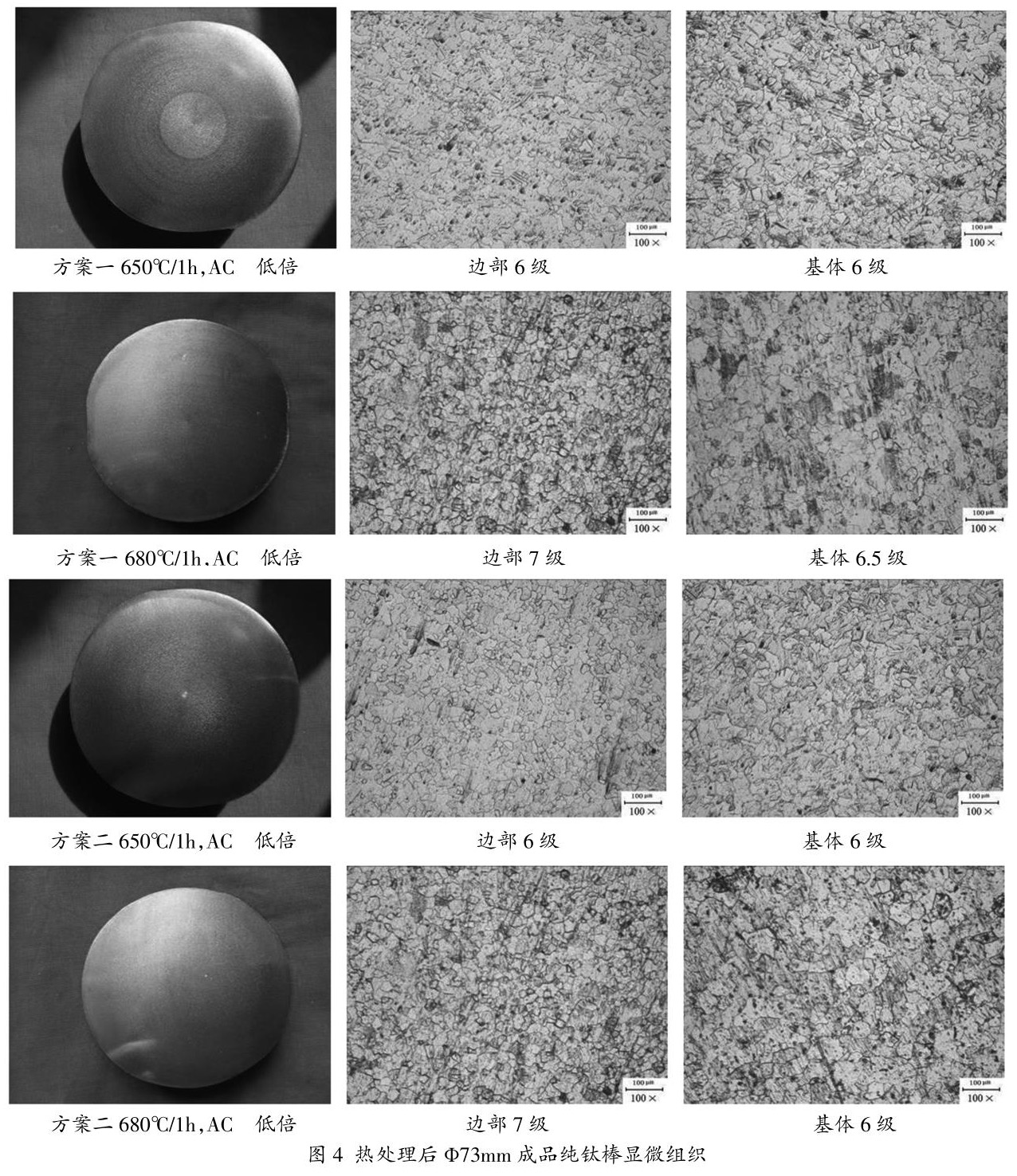 1686390438544583.jpg t4.jpg