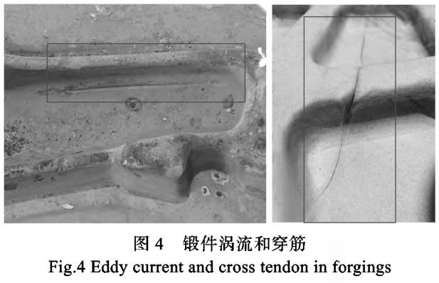 1687271954583769.jpg t4.jpg