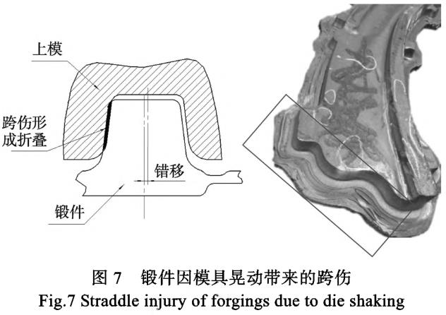 1687271982137994.jpg t7.jpg