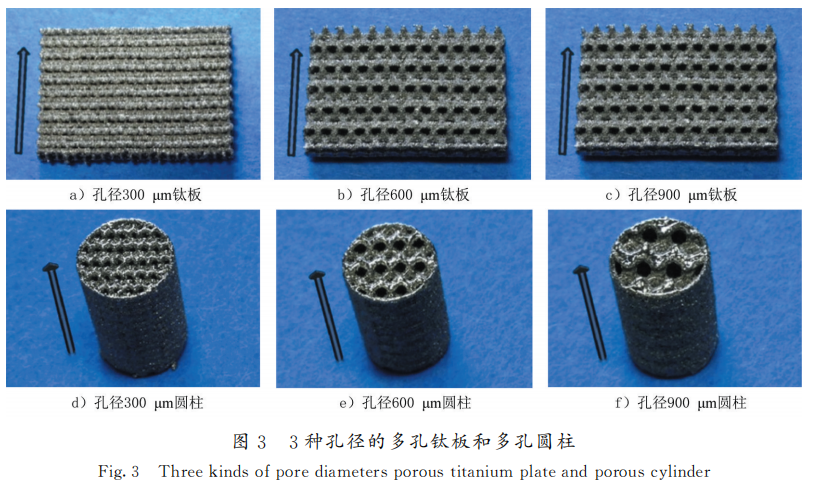 1692156313498206.png 7.png