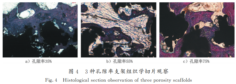 1692156327822548.png 8.png