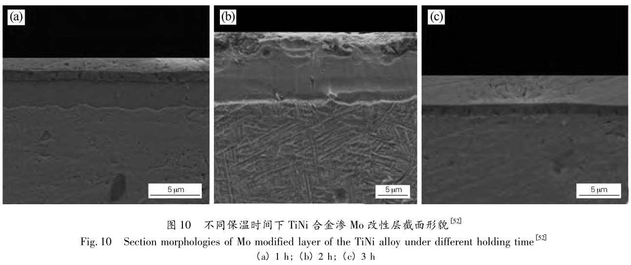 1692174947763091.jpg t10.jpg