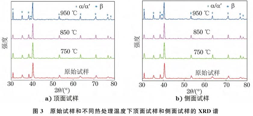 1708356125233629.jpg t3.jpg