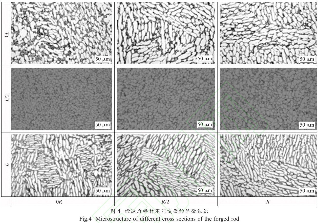 1708870565210656.jpg t4.jpg