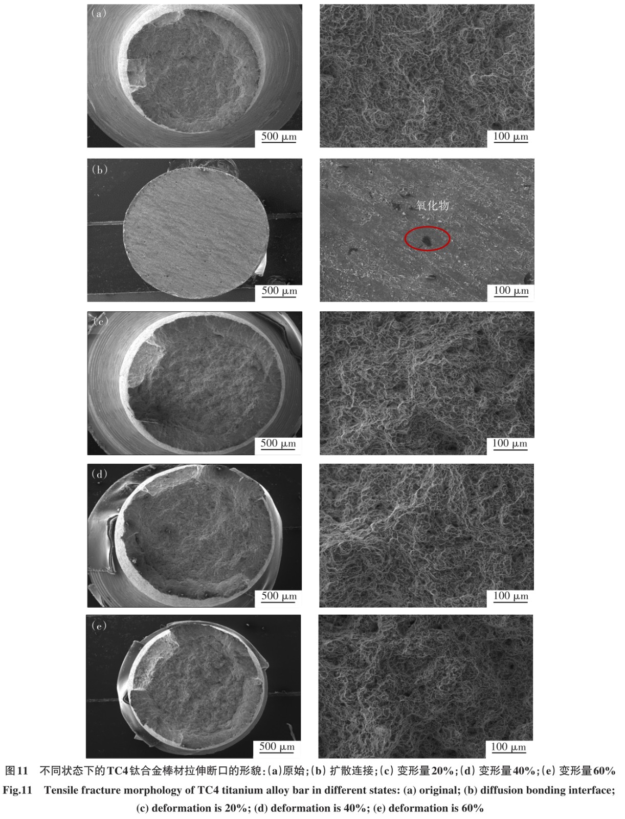 1700449324895036.jpg t11.jpg