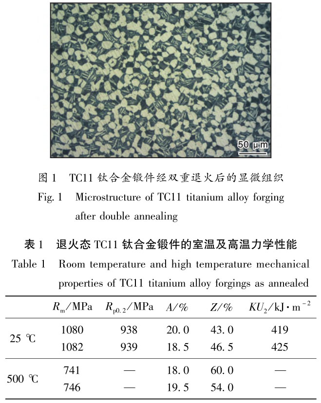 1710991515893542.jpg t1-b1.jpg