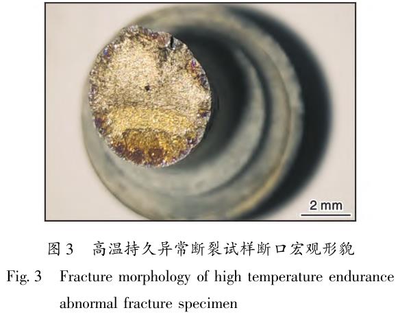 1710991532964121.jpg t3.jpg