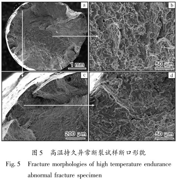 1710991549808651.jpg t5.jpg