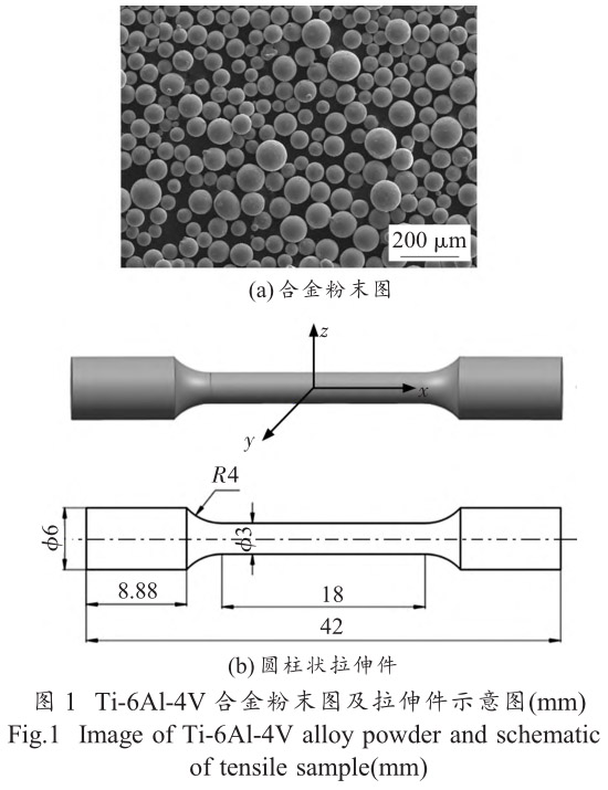 1712445505134139.jpg t1.jpg