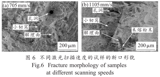 1712445561280717.jpg t6.jpg