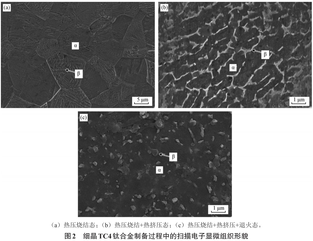 1705839590242302.jpg t2.jpg