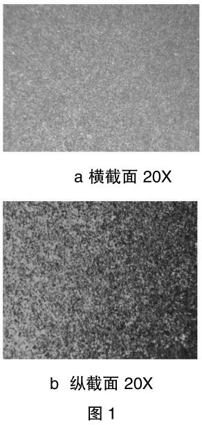 1700480832603389.jpg t1.jpg