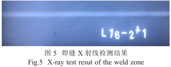 1705828238856475.jpg t5.jpg