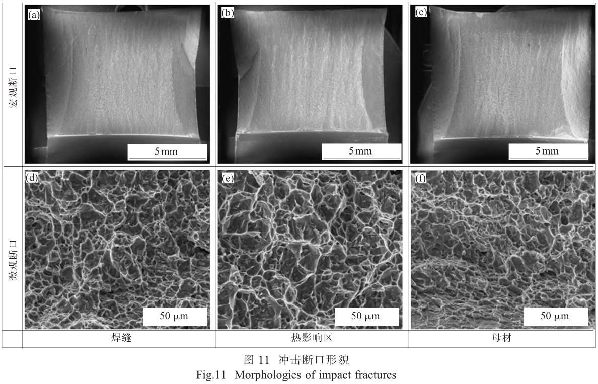 1705828308452814.jpg t11.jpg