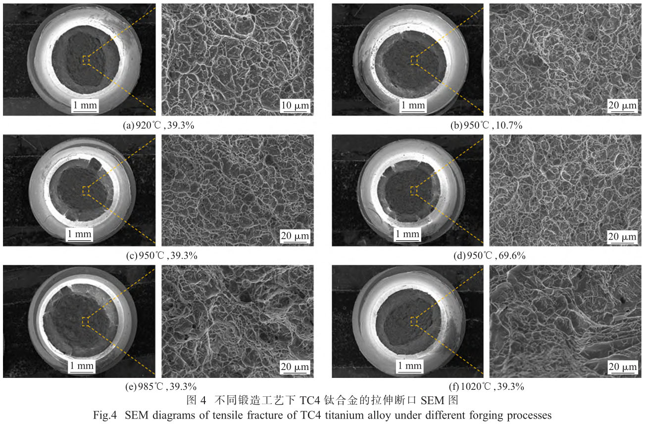 1708270061623630.jpg t4.jpg