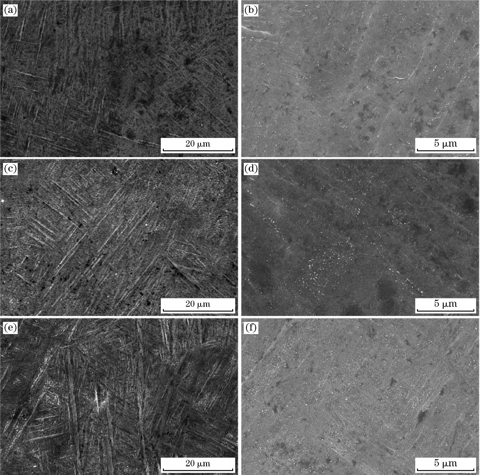 1710902147623608.jpg 2.jpg