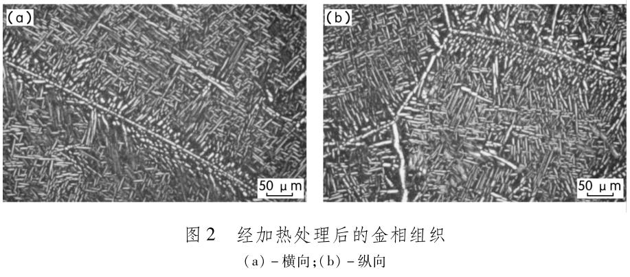 1704886342758478.jpg t2.jpg