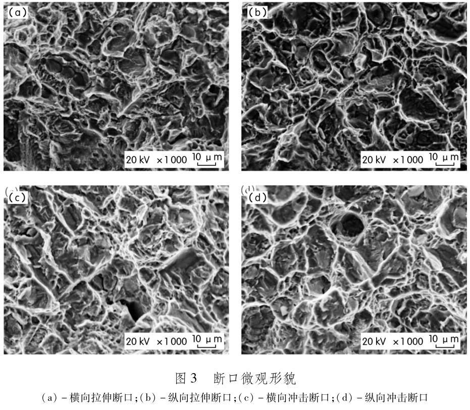 1704886363411534.jpg t3.jpg