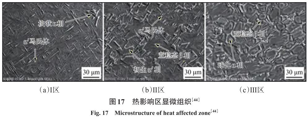 1710887941717647.jpg t17.jpg