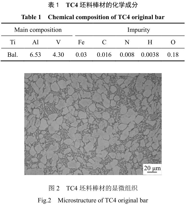 1705846582478260.jpg b1-t2.jpg