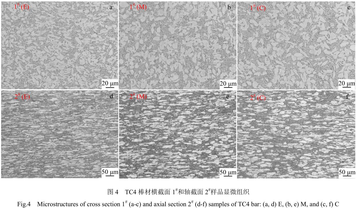 1705846604171958.jpg t4.jpg