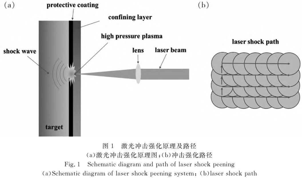 1708868483203534.jpg t1.jpg
