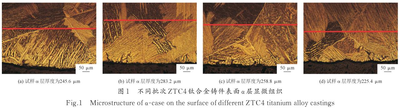 1722481862661227.jpg t1.jpg