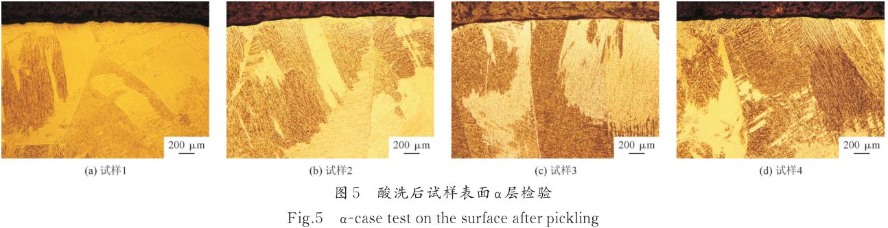 1722481944113304.jpg t5.jpg