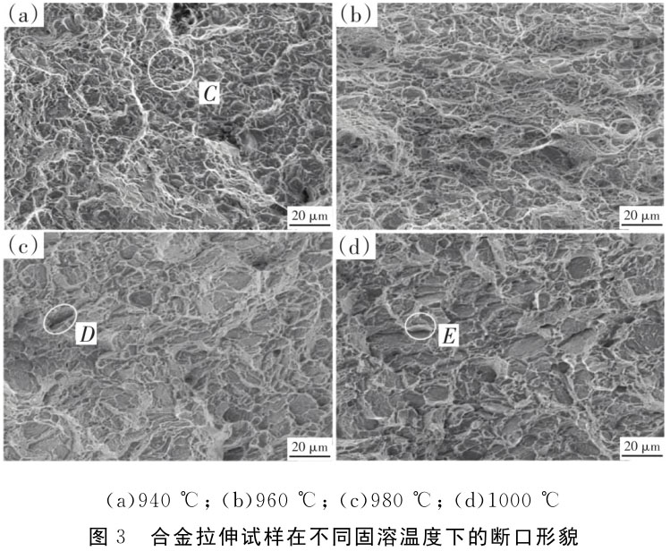 1722484021863104.jpg t3.jpg