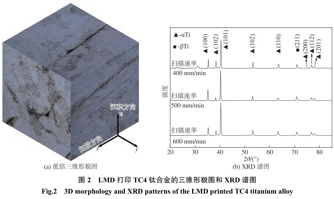 1708357251232451.jpg t2.jpg
