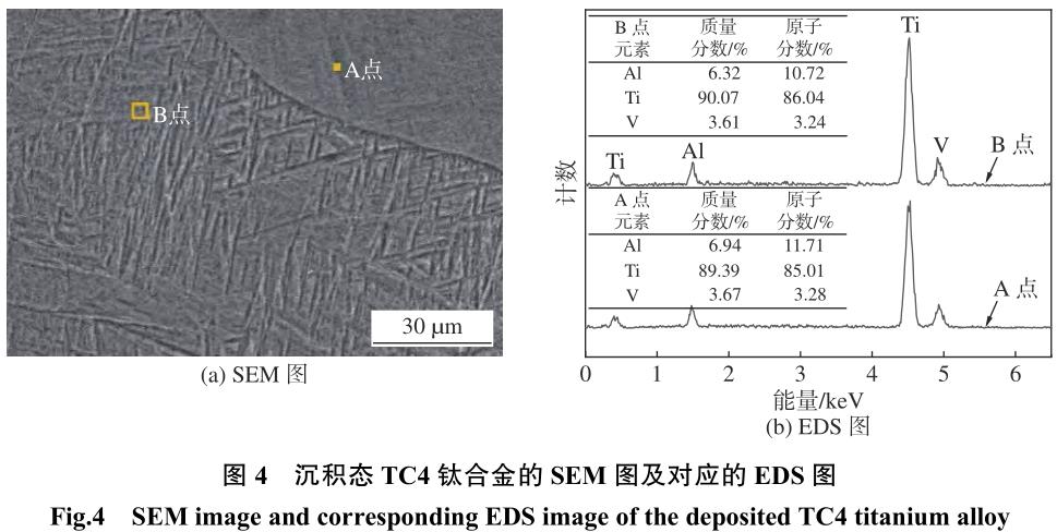1708357269654745.jpg t4.jpg