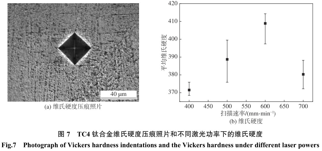 1708357297652460.jpg t7.jpg