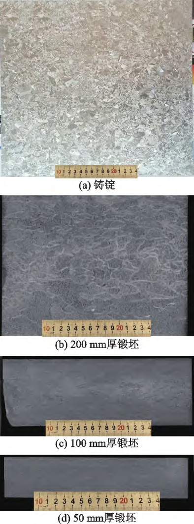 1728353218782394.png 5.png