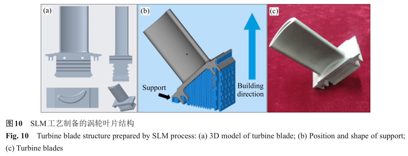 1728464285680519.jpg t10.jpg