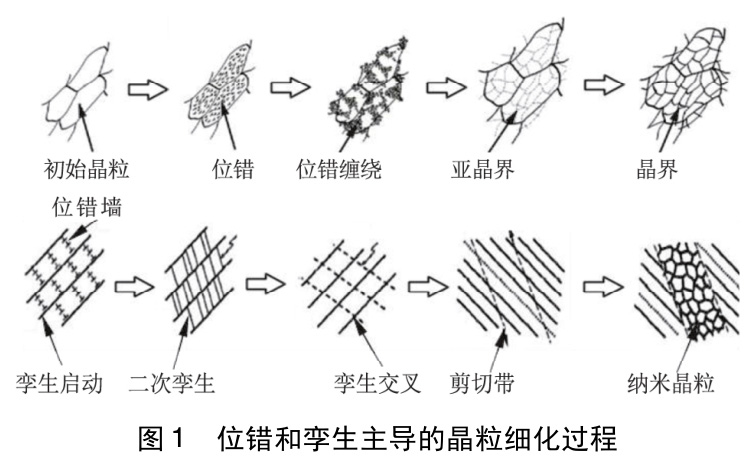 1728550744950218.jpg 1.jpg