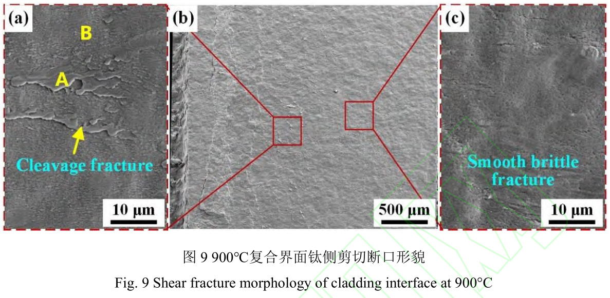 1728563883569554.jpg t9.jpg