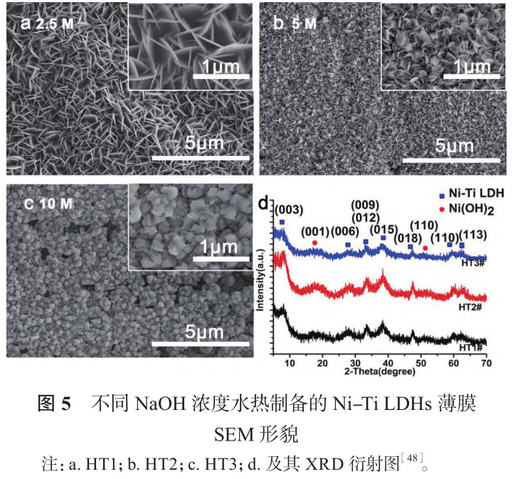 1728572907294753.jpg 5.jpg