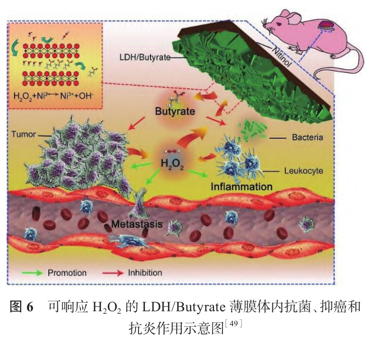 1728572916913946.jpg 6.jpg