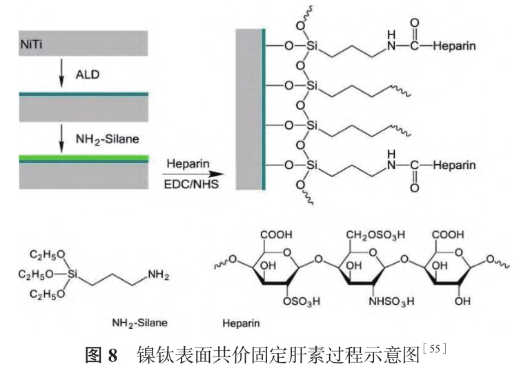 1728572937273505.jpg 8.jpg