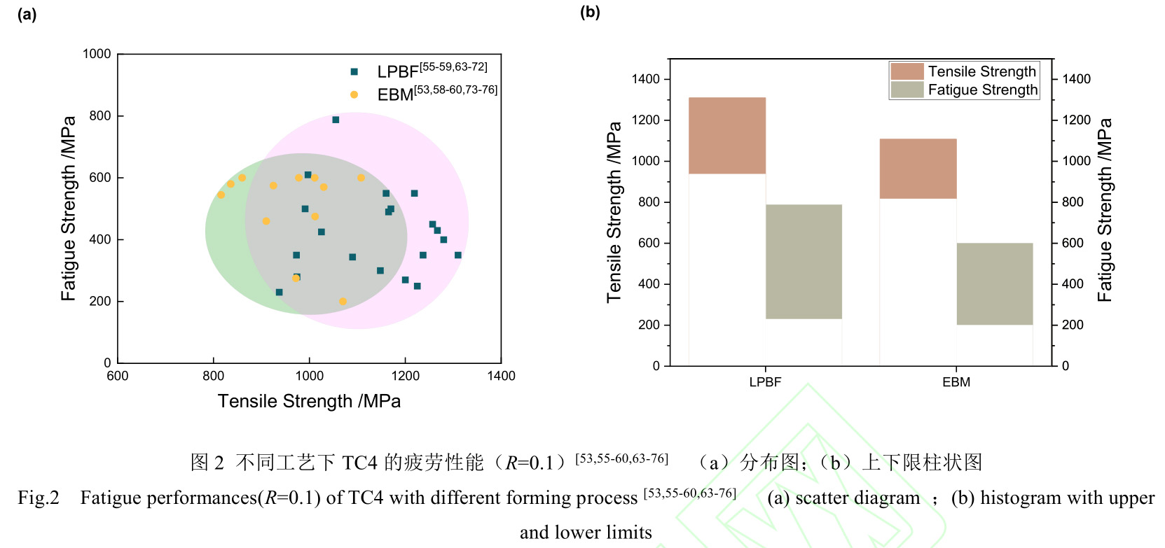 1728635998983669.jpg 2.jpg