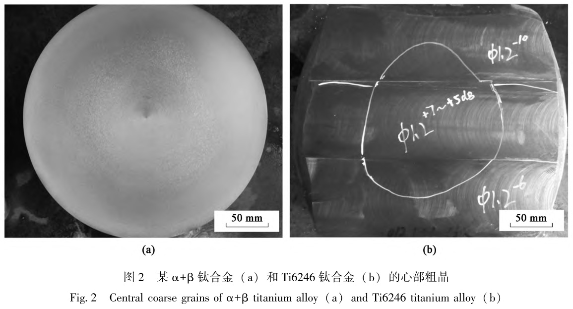 1728786309107733.jpg 2.jpg