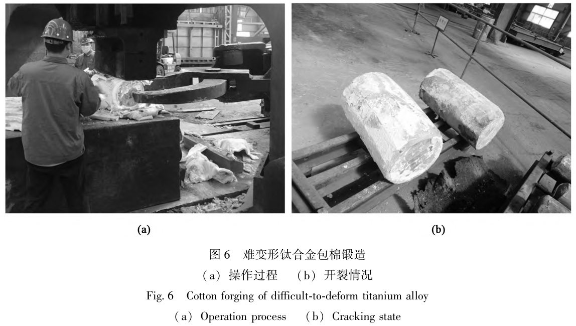 1728786353256780.jpg 6.jpg