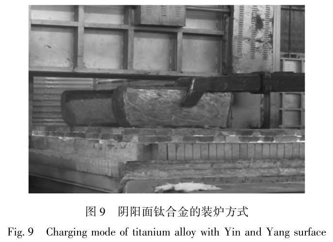 1728786382451890.jpg 9.jpg