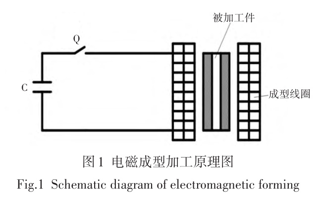 1728810547848724.jpg 1.jpg