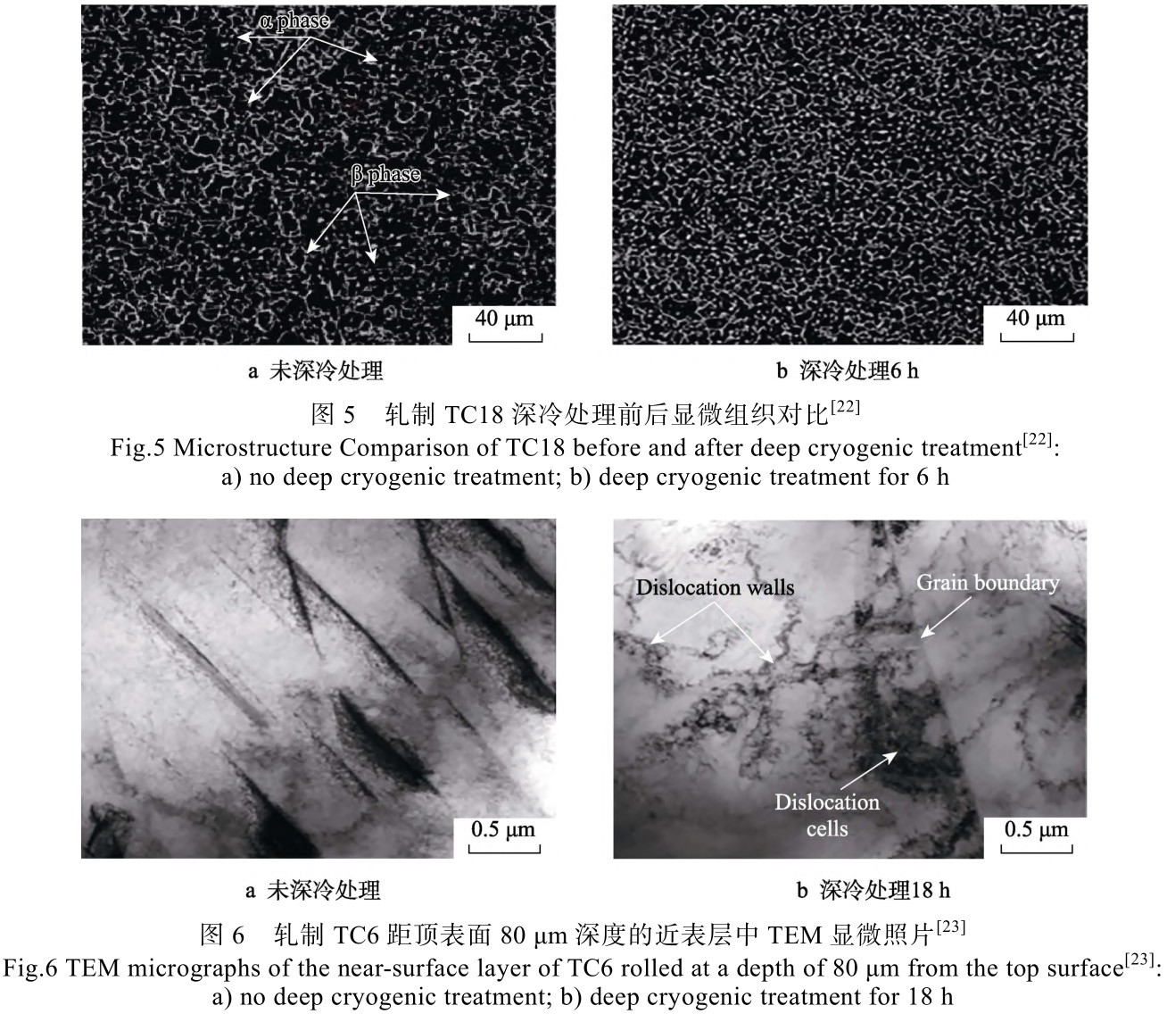 1728826497563116.jpg 5-6.jpg