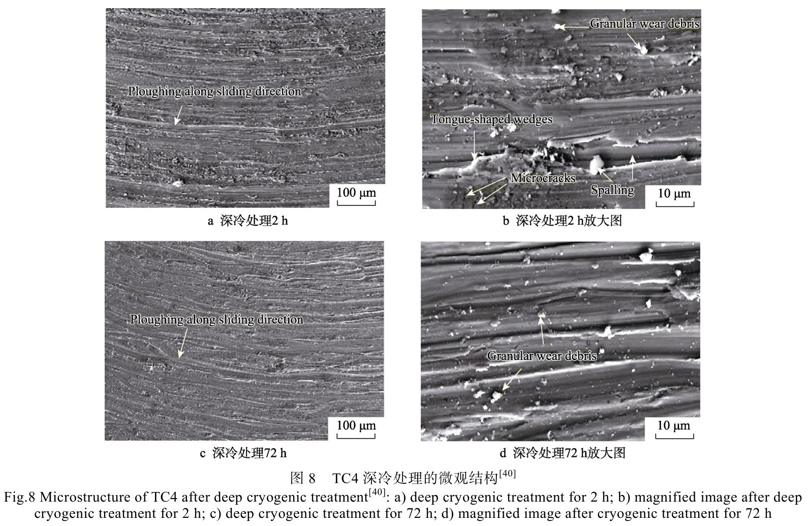 1728826530612844.jpg t8.jpg